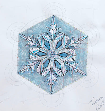 The Geometry of Snowflakes, A winter exploration ❄❄❄
