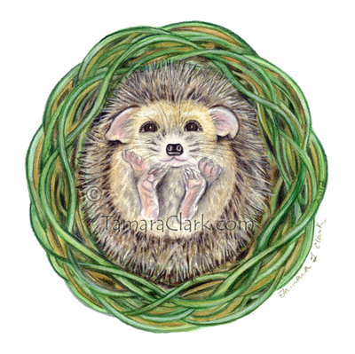 Hedgehog