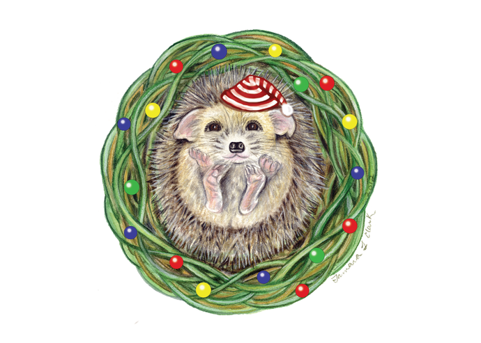 Hedgehog Card