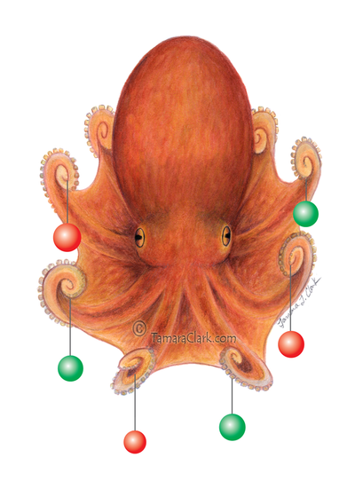Octopus Card