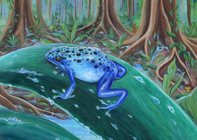 Poison Dart Frog (Dendrobates tinctorius) illustration by Tamara Clark, Eden Art