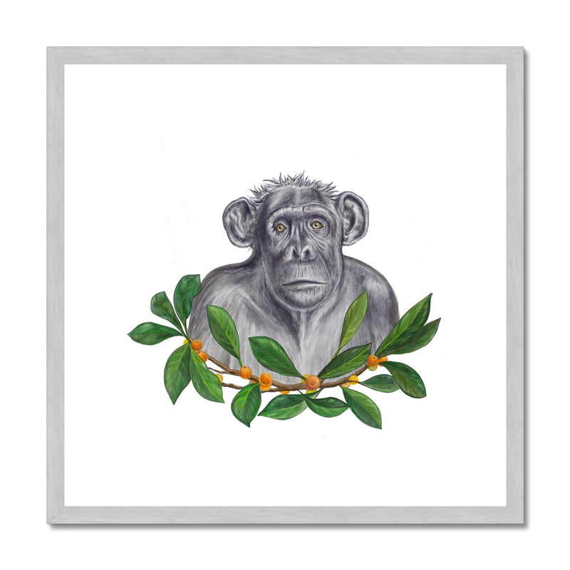 Chimp and Figs Antique Framed & Mounted Print