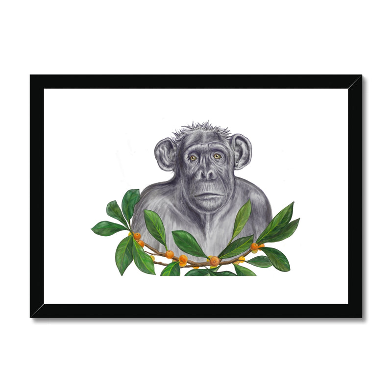 Chimp and Figs Framed & Mounted Print