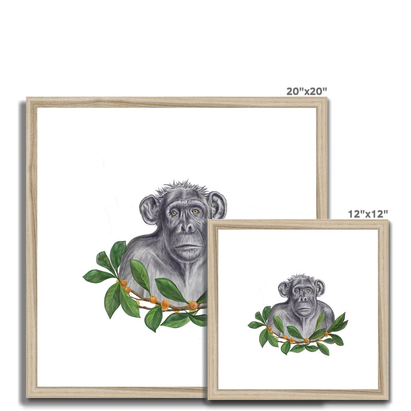 Chimp and Figs Framed & Mounted Print