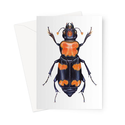 Burying Beetle Greeting Card