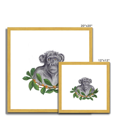 Chimp and Figs Antique Framed & Mounted Print