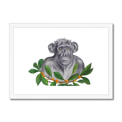 Chimp and Figs Framed & Mounted Print