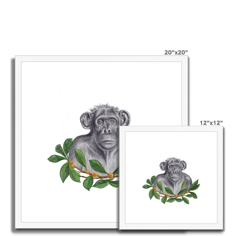 Chimp and Figs Framed & Mounted Print