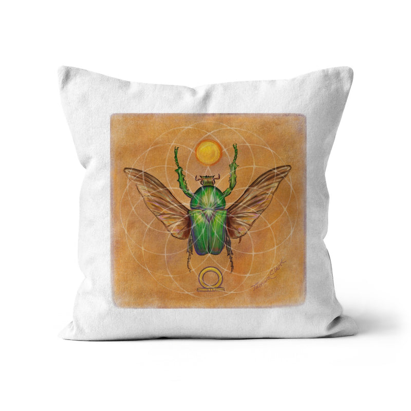 Beetle and the Sun Cushion
