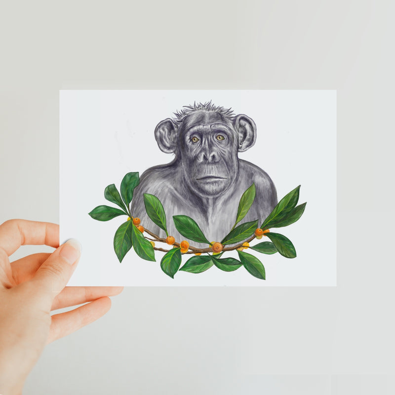 Chimp and Figs Classic Postcard