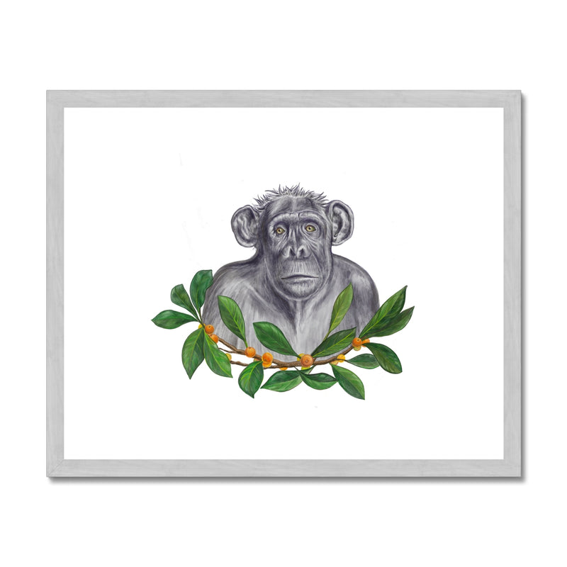 Chimp and Figs Antique Framed & Mounted Print