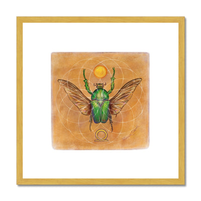 Beetle and the Sun Antique Framed & Mounted Print