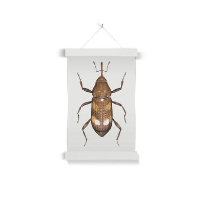 White Pine Weevil Fine Art Print with Hanger