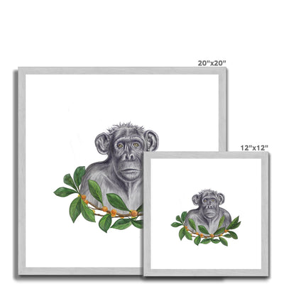 Chimp and Figs Antique Framed & Mounted Print