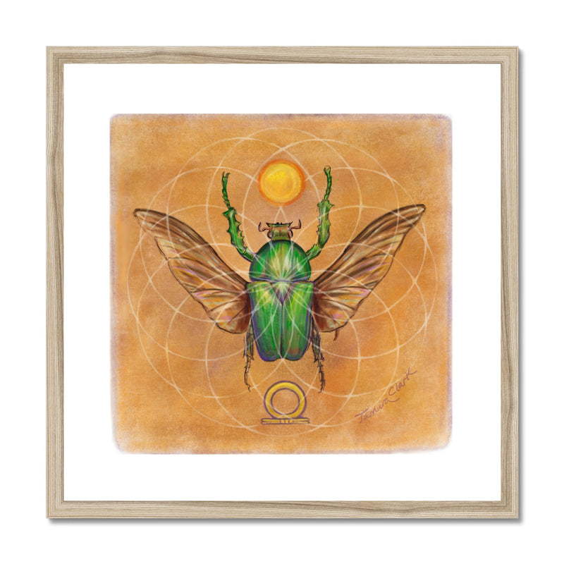 Beetle and the Sun Framed Print