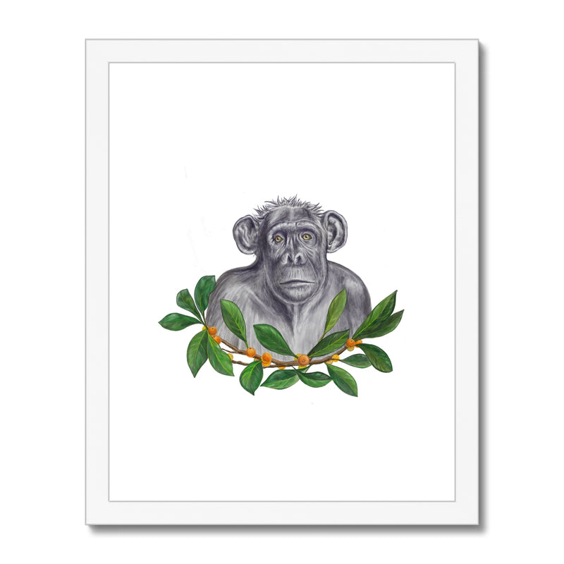 Chimp and Figs Framed & Mounted Print