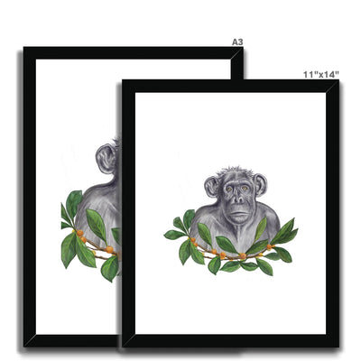 Chimp and Figs Framed & Mounted Print