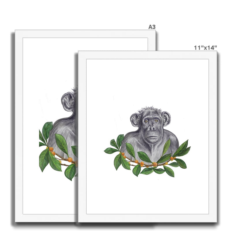 Chimp and Figs Framed & Mounted Print