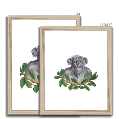 Chimp and Figs Framed & Mounted Print