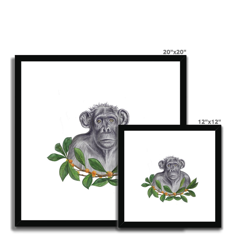 Chimp and Figs Framed & Mounted Print