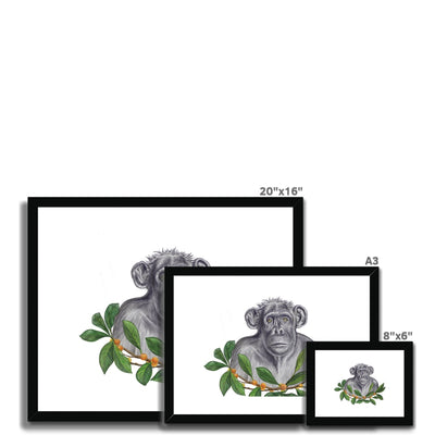 Chimp and Figs Framed & Mounted Print