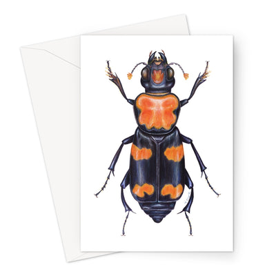 Burying Beetle Greeting Card