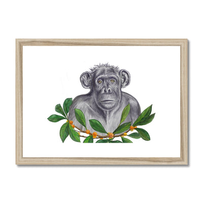 Chimp and Figs Framed & Mounted Print