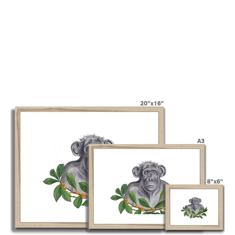 Chimp and Figs Framed & Mounted Print