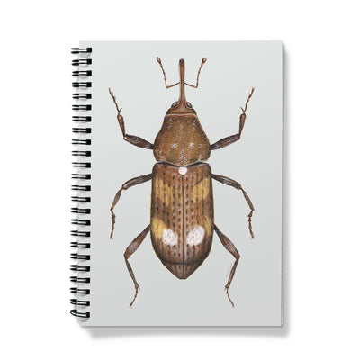 White Pine Weevil Notebook