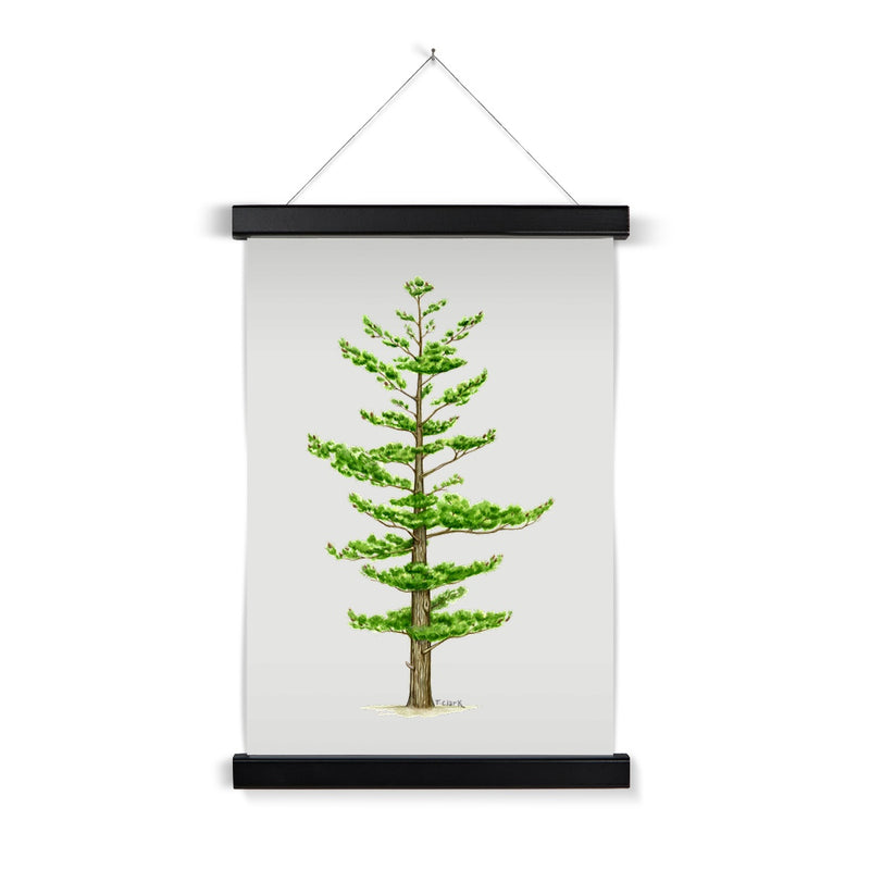 White Pine Fine Art Print with Hanger