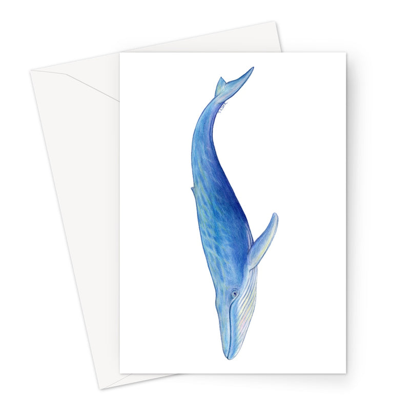 Blue Whale Greeting Card