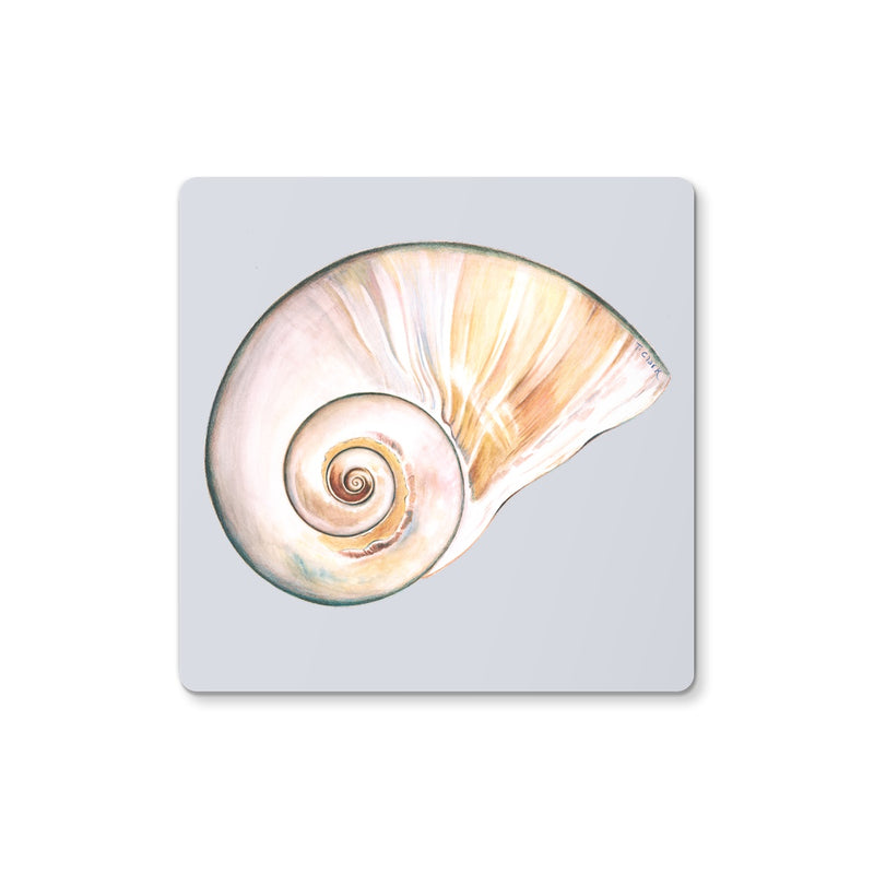 Northern Moonsnail Coaster