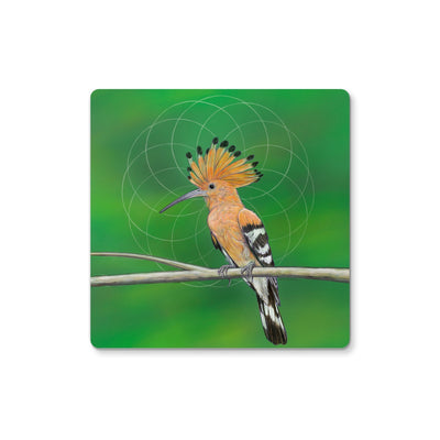 Eurasian Hoopoe Coaster