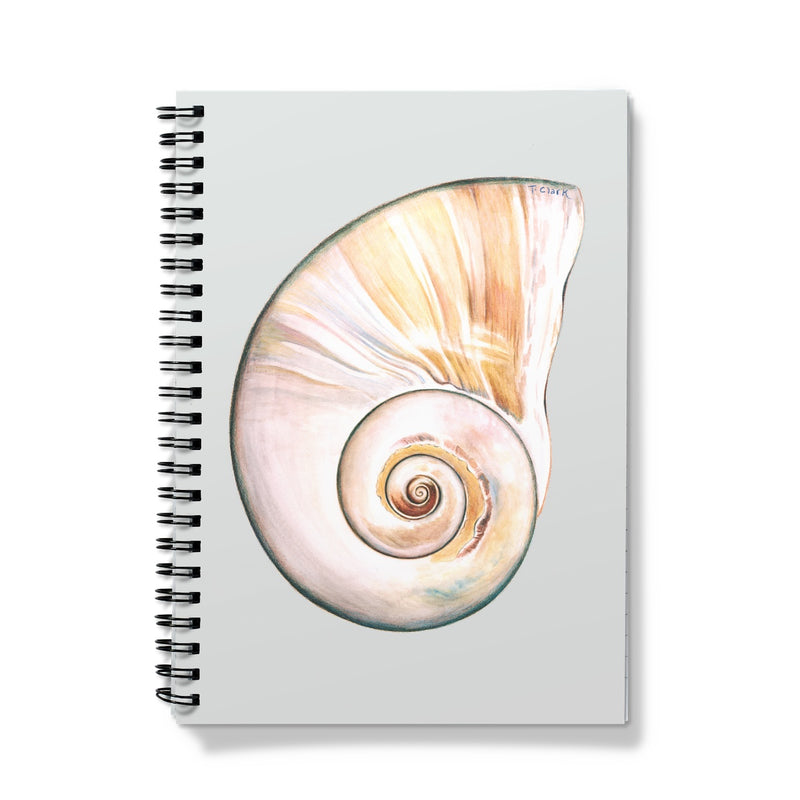 Northern Moonsnail Notebook