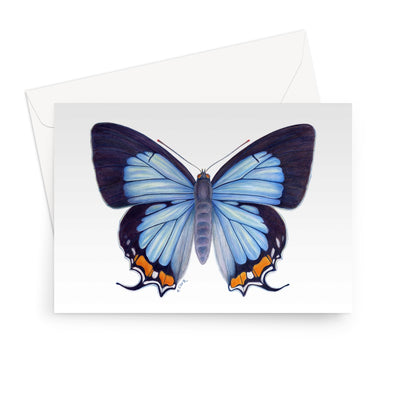 Imperial Blue Butterfly Greeting Card