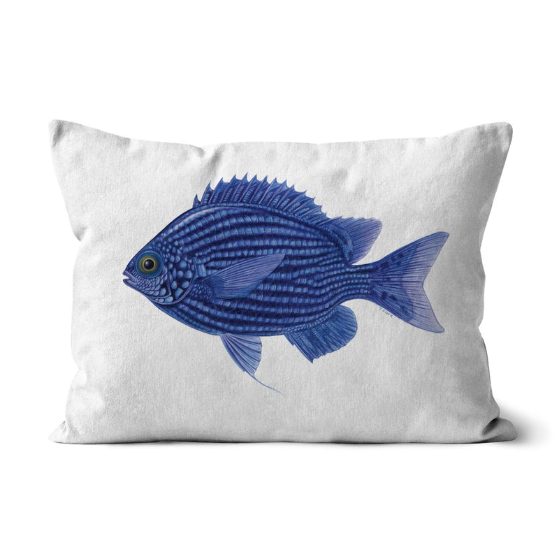 Deep Blue Chromis Cushion