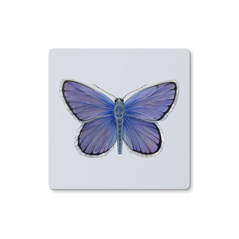 Karner Blue Butterfly Coaster