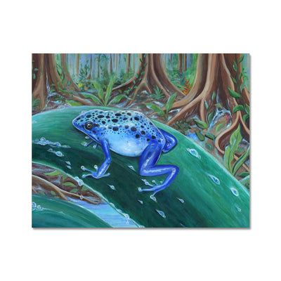 Blue Poison Dart Frog Fine Art Print