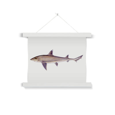 Smooth Dogfish Fine Art Print with Hanger