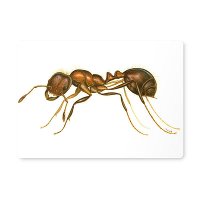 Fire Ant Placemat