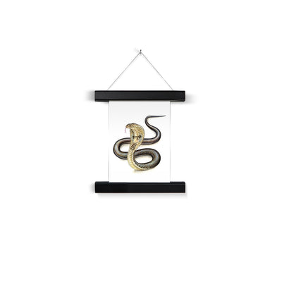 Indian Cobra Fine Art Print with Hanger