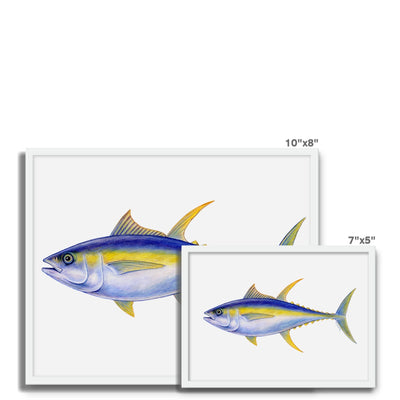 Yellowfin Tuna Framed Photo Tile