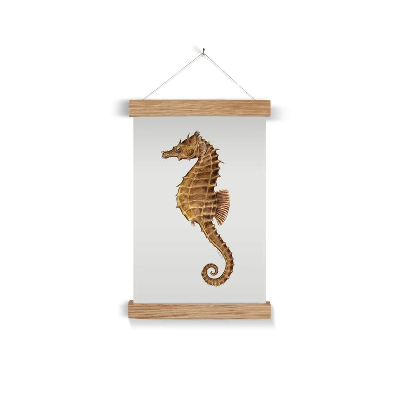 Northern Seahorse Fine Art Print with Hanger