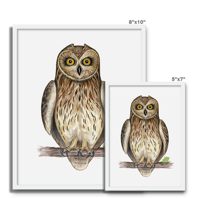Short-eared Owl Framed Photo Tile