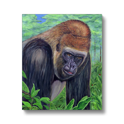 Gorilla gorilla  Canvas
