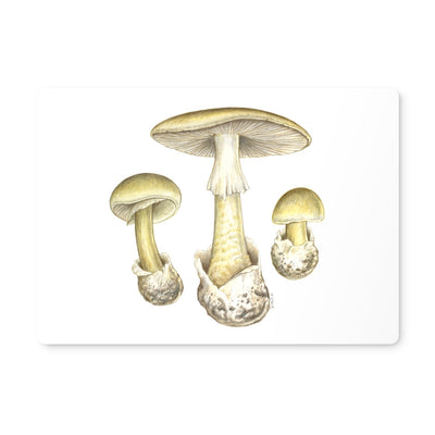 Deathcap Mushroom Placemat