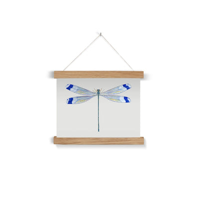 Helicopter Damselfly Fine Art Print with Hanger