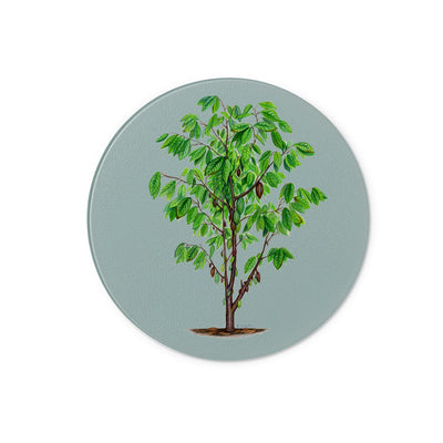 Cacao Tree Glass Chopping Board