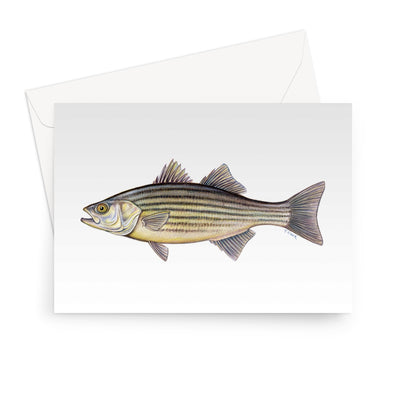 Striped Bass Greeting Card