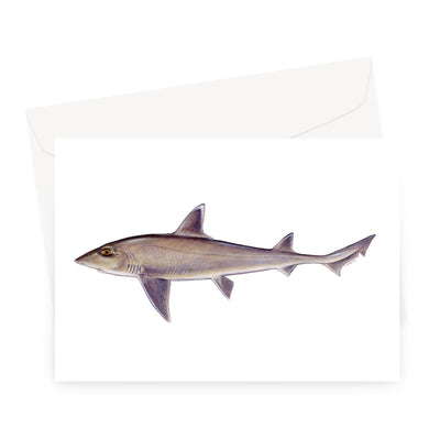 Smooth Dogfish Greeting Card